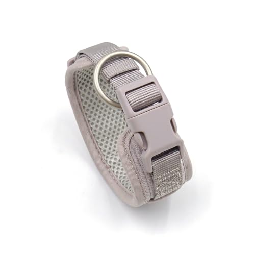 Hundehalsband mit Namen, personalisierbar, graviert, schnell lösbares Schnallenhalsband for kleine, mittelgroße und große Hunde(4,3) von CFZSALK