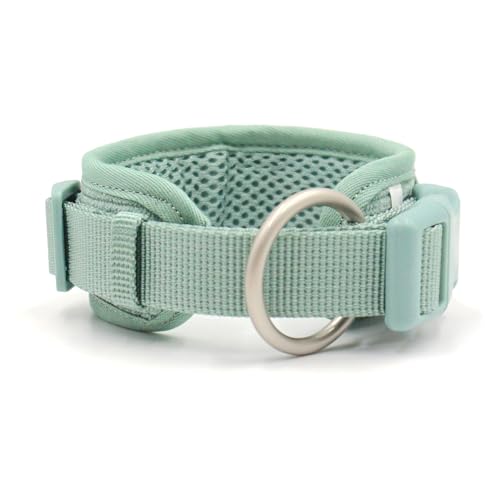 Hundehalsband mit Namen, personalisierbar, graviert, schnell lösbares Schnallenhalsband for kleine, mittelgroße und große Hunde(5,2) von CFZSALK