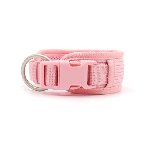 Hundehalsband mit Namen, personalisierbar, graviert, schnell lösbares Schnallenhalsband for kleine, mittelgroße und große Hunde(7,1) von CFZSALK