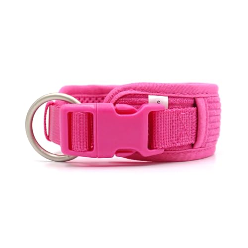 Hundehalsband mit Namen, personalisierbar, graviert, schnell lösbares Schnallenhalsband for kleine, mittelgroße und große Hunde(8,2) von CFZSALK