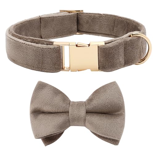 Personalisiertes Hundehalsband, Haustierhalskette, verstellbar, individuelle ID-Tag-Gravur, superweiches Hundezubehör mit Namen breites hundehalsband(G Collar Bow,XS) von CFZSALK