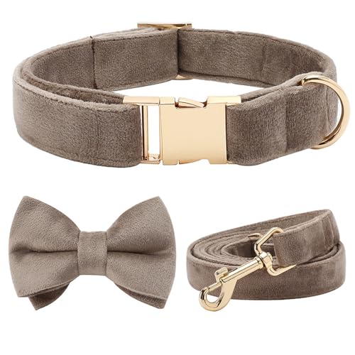 Personalisiertes Hundehalsband, Haustierhalskette, verstellbar, individuelle ID-Tag-Gravur, superweiches Hundezubehör mit Namen breites hundehalsband(G Collar Bow Leash,XS) von CFZSALK