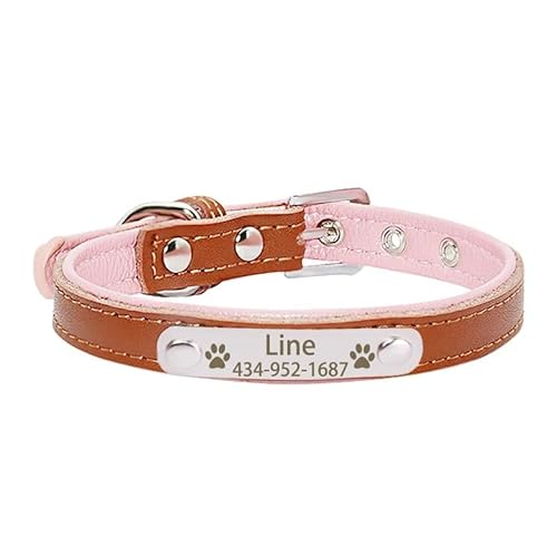 Personalized Tag Pet Dog Collar for Small Medium Large Dogs Custom ID Nameplate Soft Leather Puppy Cat Dog Collar(2,XS) von CFZSALK