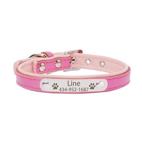 Personalized Tag Pet Dog Collar for Small Medium Large Dogs Custom ID Nameplate Soft Leather Puppy Cat Dog Collar(8,XS) von CFZSALK