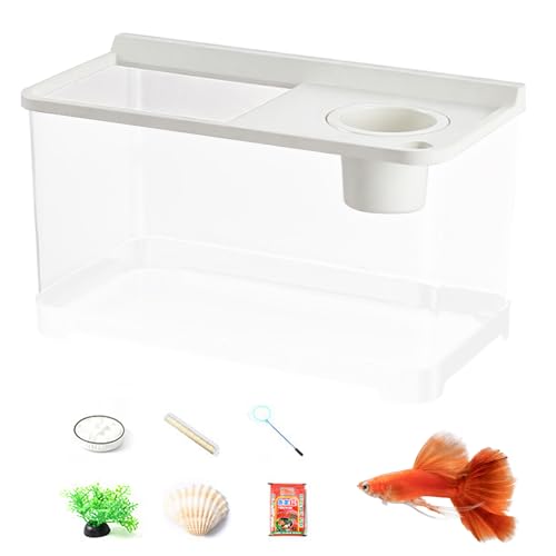 CGACCSD Aquarium für Betta mit 3 bunten Lichtern, Fischbecken, Landschaft, Aquarium, hohe Transparenz, 360 °, für Büro, Tisch, Schlafzimmer, Wohnzimmer, Eingangsbereich, Dekoration CGACCSD Aquarium für Betta mit 3 bunten Lichtern, Fischbecken, Landschaft, Aquarium, hohe Transparenz, 360 °, für Büro, Tisch, Schlafzimmer, Wohnzimmer, Eingangsbereich, Dekoration von CGACCSD