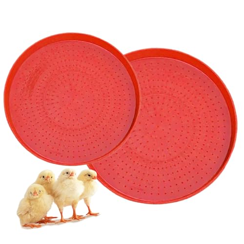 CGACCSD Futtertablett für Geflügel | 2 Stück Futtertablett, Huhn, Cane | Wiederverwendbare Tränke für Vogel, Tauben, Wachtel, Gehege, Garten, Bauernhof, Außenbereich, Hühnerstall, Scheune, Bauernhof CGACCSD Futtertablett für Geflügel | 2 Stück Futtertablett, Huhn, Cane | Wiederverwendbare Tränke für Vogel, Tauben, Wachtel, Gehege, Garten, Bauernhof, Außenbereich, Hühnerstall, Scheune, Bauernhof von CGACCSD