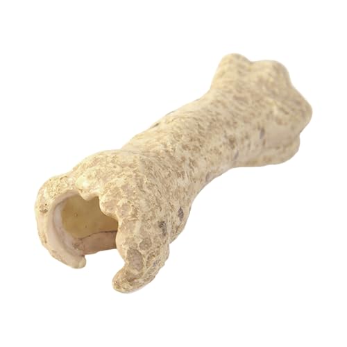 CGACCSD Gecko Hide, Leopard Gecko Hide | Reptilienschutz,Klettern Versteck für Gecko Snake Turtle Frosch für Haustierkomfort und Sicherheit von CGACCSD