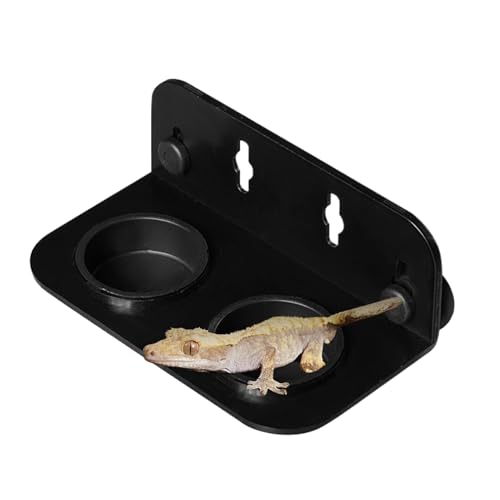 CGACCSD Reptilien-Futter-Doppelschale - Saugnapf Echsenfutter Doppelschale | Leichter Reptilien-Futternapf Für Bartagamen Schlangen Frösche Einsiedlerkrebse CGACCSD Reptilien-Futter-Doppelschale - Saugnapf Echsenfutter Doppelschale | Leichter Reptilien-Futternapf Für Bartagamen Schlangen Frösche Einsiedlerkrebse von CGACCSD