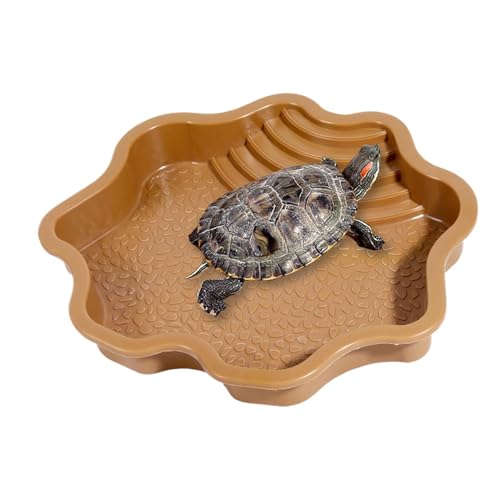 CGACCSD Schildkrötenbadepool, Reptilienbadesteller - Schildkrötenwasserfutter mit Rampe,Reptilienbadepool -Fütterungsgericht Aquariumverzierung für Gecko/Schlange/bärtiger Drache/ von CGACCSD