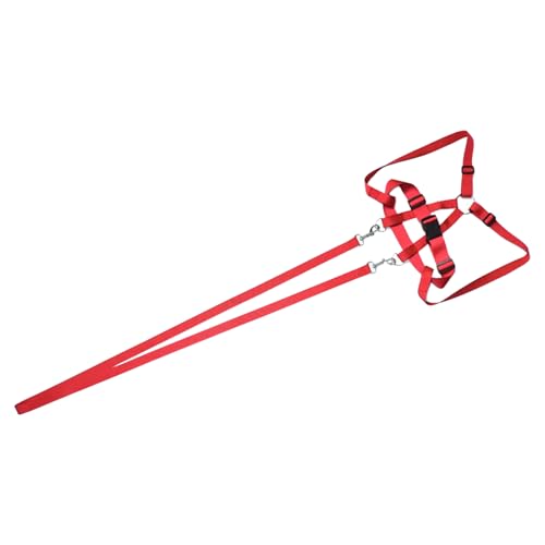 CGACCSD Sicherheitsgeschirr, Sicherheitsleine Gegen Weglaufen Für Kinder, Ergonomisches Anti-Verlauf-Geschirr Mit Führleine Für Outdoor, Spaziergänge, Camping & Abenteuer von CGACCSD