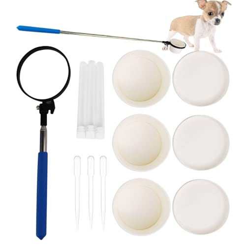 CGACCSD Urinprobenfänger für Hunde, Urinsammler für Hunde und Katzen | Teleskop-Urinsammler mit langem Griff | Urinstift für kleine große Hündinnen, Schwangerschafts-PIPI-Testset für CGACCSD Urinprobenfänger für Hunde, Urinsammler für Hunde und Katzen | Teleskop-Urinsammler mit langem Griff | Urinstift für kleine große Hündinnen, Schwangerschafts-PIPI-Testset für von CGACCSD