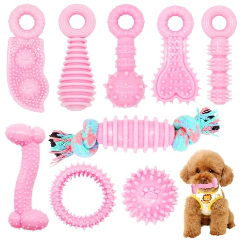 CGBD Puppy Toys, 9 Pack Puppy Chew Toys for Teething, Cute Pink Small Dog Toys, Tething Toys for Puppies, Soft Durable Interactive Dog Chew Toy for Small Dogs CGBD Puppy Toys, 9 Pack Puppy Chew Toys for Teething, Cute Pink Small Dog Toys, Tething Toys for Puppies, Soft Durable Interactive Dog Chew Toy for Small Dogs von CGBD