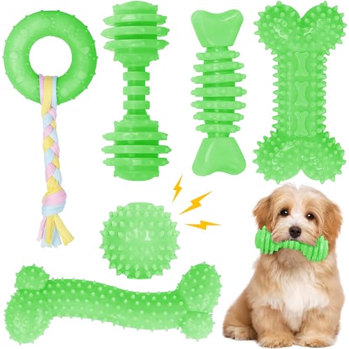 CGBD Welpenspielzeug, 6 Stück, Kauspielzeug für Welpen, niedliches grünes kleines Hundespielzeug, Zahnspielzeug für Welpen, weich, langlebig, interaktives Kauspielzeug für kleine Hunde CGBD Welpenspielzeug, 6 Stück, Kauspielzeug für Welpen, niedliches grünes kleines Hundespielzeug, Zahnspielzeug für Welpen, weich, langlebig, interaktives Kauspielzeug für kleine Hunde von CGBD