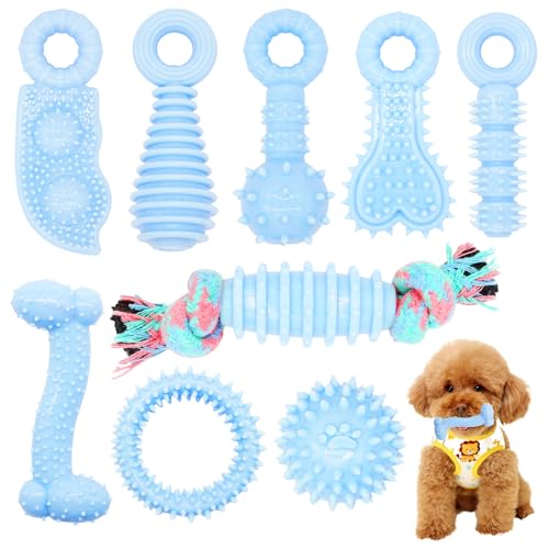 CGBD Welpenspielzeug, 9 Stück, Kauspielzeug für Welpen, niedliches blaues kleines Hundespielzeug, Zahnspielzeug für Welpen, weich, langlebig, interaktives Kauspielzeug für kleine Hunde von CGBD