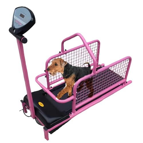 Hundelaufband, Haustier-Hundelaufmaschine für kleine und mittelgroße Hunde, Hundelaufband-Haustier-Trainingsgerät für Hundetraining im Innen- und Außenbereich, bis zu 79 kg Hundelaufband, Haustier-Hundelaufmaschine für kleine und mittelgroße Hunde, Hundelaufband-Haustier-Trainingsgerät für Hundetraining im Innen- und Außenbereich, bis zu 79 kg von CGLYYDS