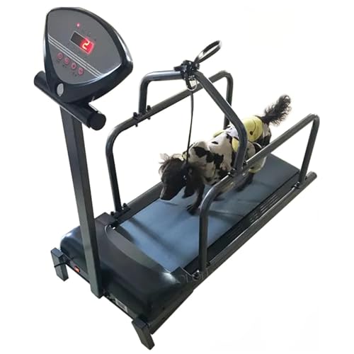 Hundelaufband, Hundelaufband, 1,75-PS-Motor, Geschwindigkeitsbereich 0,8–6 km/h, Mehrfachauswahl, Maximalbelastung 100 kg, für kleine und mittelgroße Hunde Hundelaufband, Hundelaufband, 1,75-PS-Motor, Geschwindigkeitsbereich 0,8–6 km/h, Mehrfachauswahl, Maximalbelastung 100 kg, für kleine und mittelgroße Hunde von CGLYYDS