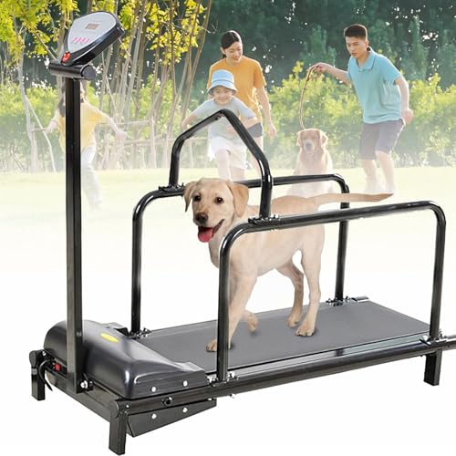 Hundelaufband, Hundelaufband, Haustier-Fitness-Laufband mit Einer Maximalbelastung von 80 kg – Trainingsgerät für Tiere Hundelaufband, Hundelaufband, Haustier-Fitness-Laufband mit Einer Maximalbelastung von 80 kg – Trainingsgerät für Tiere von CGLYYDS