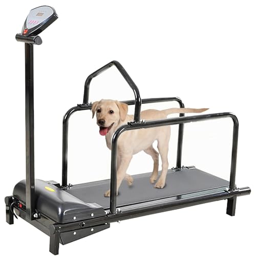 Hundelaufband für mittelgroße und kleine Hunde, Trainingsgerät für Hunde, Geschwindigkeit 0,8–6 km/h, für Hundetraining drinnen und draußen, Maximalbelastung 100 kg Hundelaufband für mittelgroße und kleine Hunde, Trainingsgerät für Hunde, Geschwindigkeit 0,8–6 km/h, für Hundetraining drinnen und draußen, Maximalbelastung 100 kg von CGLYYDS