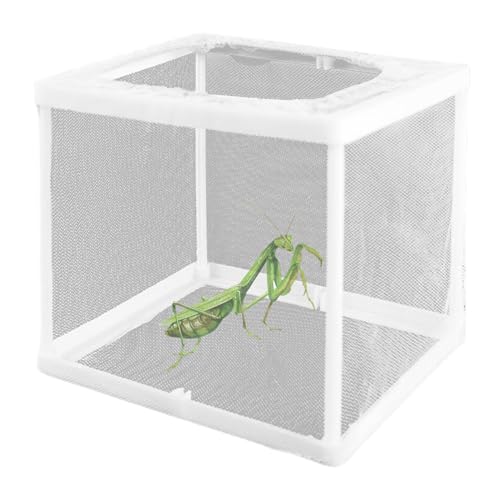 2pcs beten Mantis Lebensraum Beten Mantis Ei Hülle Inkubator für Tarantulas Spinnen Schnecken Crickets Ameisen kleine Tiere von CGTQROVR
