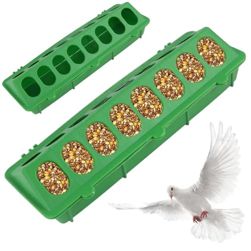 Baby Chick Feeder 2pcs Kunststoff Wachtelkost 16 Löcher kein Durcheinander Keine Abfalltaube Wasserer leicht zu reinigen Vogelwasserspender von CGTQROVR