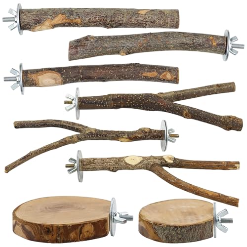 CGTQROVR 8pcs Papageienspielzeug natürlicher hölzerner Vogelperch Hangable Shot -Spielzeug Vogelspielplatz für Papageien von CGTQROVR