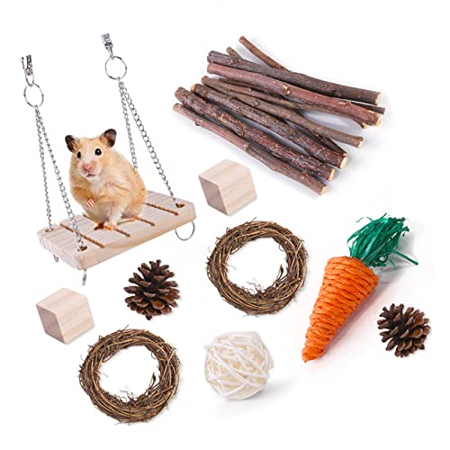 ＣＨＡＭＥＥＮ 10 Stück Kleintier Kauspielzeug Backenzahn Spielzeug Zahnpflege Kau Ball Hamster Zubehör von ＣＨＡＭＥＥＮ