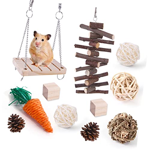 ＣＨＡＭＥＥＮ 10 Stück Kleintier Kauspielzeug Hamster Spielzeug Einrad Backenzahn Spielzeug Roller Sport Hanteln Zahnpflege von ＣＨＡＭＥＥＮ