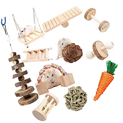 ＣＨＡＭＥＥＮ 12 Stück Hamster Meerschweinchen Beißspielzeug Übungsspielzeug Trainingszubehör natürliche Holzzahnpflege von ＣＨＡＭＥＥＮ