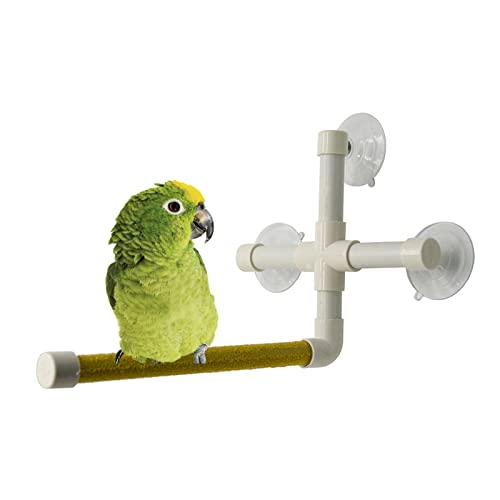 ＣＨＡＭＥＥＮ Dusche Barsch Vogel Spielzeug Vogel Stand Portable Saugnapf Barsch Stand Plattform Papagei Spielzeug von ＣＨＡＭＥＥＮ