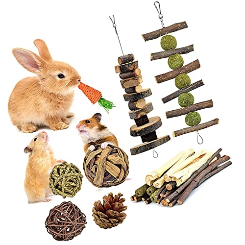 ＣＨＡＭＥＥＮ Hamsterspielzeug Kleintierspielzeug Hamsterzubehör Kauspielzeug Holzkieferzapfen Snacks für Haustiere von ＣＨＡＭＥＥＮ