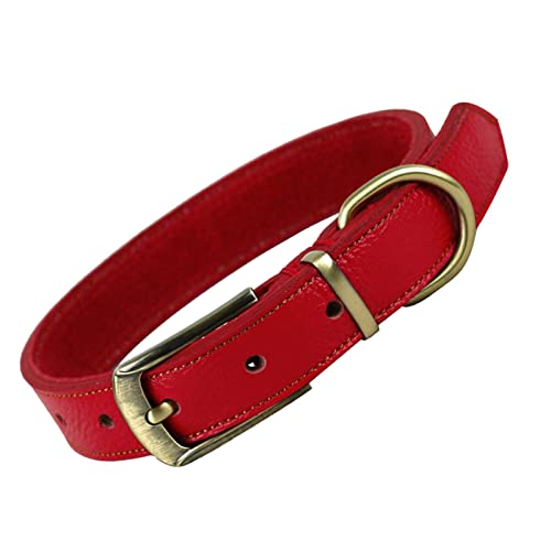 ＣＨＡＭＥＥＮ Hundehalsband Leder Hundehalsband verstellbar Katze gepolstert Welpenhalsband mit D-Ring Rot von ＣＨＡＭＥＥＮ