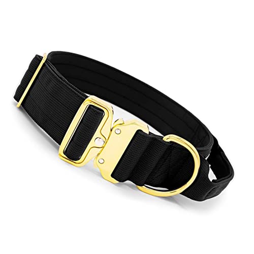 ＣＨＡＭＥＥＮ Hundehalsband Schnalle Hundehalsband Wide Gold Series Tactical Hundehalsband Einstellbare Schnellverschlussschnalle von ＣＨＡＭＥＥＮ