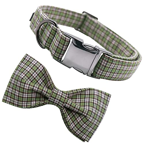 ＣＨＡＭＥＥＮ Hundehalsband für kleine Hunde weich und bequem Hundehalsband mit verstellbarem Knoten und Metallschnalle Halsband von ＣＨＡＭＥＥＮ