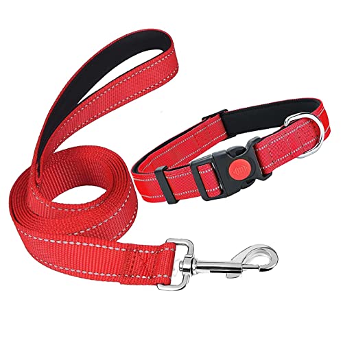 ＣＨＡＭＥＥＮ Hundehalsband und Leine Set verstellbar und reflektierend geeignet für das Training rot von ＣＨＡＭＥＥＮ
