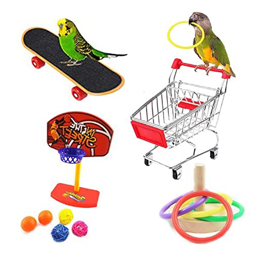 ＣＨＡＭＥＥＮ Papageienspielzeugset Kleiner Vogel Papagei intellektuelles Spielzeug Vogelspielzeug Papagei Mini Skateboard von ＣＨＡＭＥＥＮ
