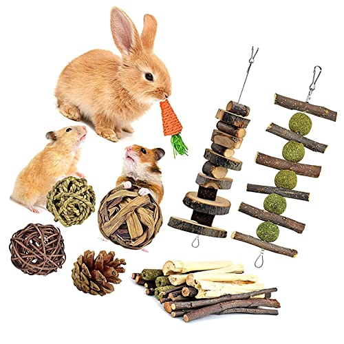 ＣＨＡＭＥＥＮ Satz von 10 Kaninchen kauen Spielzeug kauen Backenzubehör Kleintier Spielzeug natürlichen Heu Apfel Sticks von ＣＨＡＭＥＥＮ