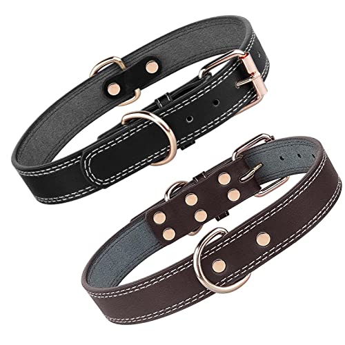 ＣＨＡＭＥＥＮ Set aus 2 weichen Hundehalsbändern aus Leder mit perforierter Polsterung D Ring 6 Loch verstellbares Hundehalsband von ＣＨＡＭＥＥＮ
