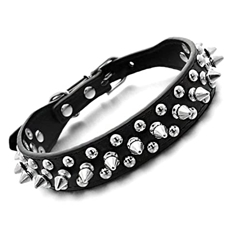 ＣＨＡＭＥＥＮ Welpenhalsband Leder Hundehalsband Nietenhalsband verstellbares Halsband schwarz von ＣＨＡＭＥＥＮ
