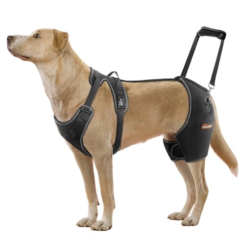 CHAMIN Hunde-Hüftbandage mit Handheld-Design, Unterstützung bei Hüftdysplasie, Arthritis, Hinken der Hinterbeine, reduziert Hüftschmerzen und beschleunigte Erholung nach Operationen usw. (extra groß) von CHAMIN