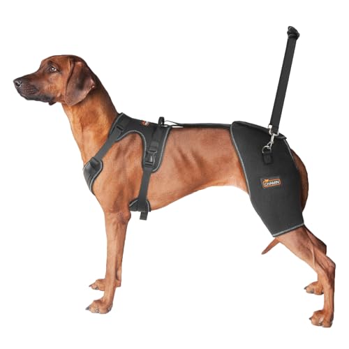 CHAMIN Hunde-Hüftbandage mit Handheld-Design, Unterstützung bei Hüftdysplasie, Arthritis, Hinken der Hinterbeine, reduziert Hüftschmerzen und beschleunigte Erholung nach Operationen usw. (groß) von CHAMIN