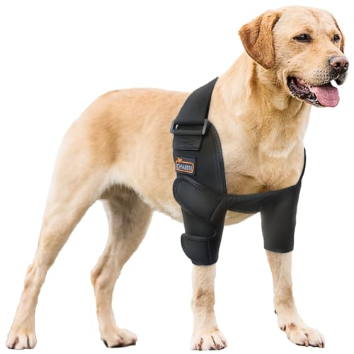 CHAMIN Ellenbogenbandage für Hunde zur Ellenbogenunterstützung und -schutz, Schutzpolster, Hygroma, Ellenbogenschoner für Hunde, Dysplasie, Schwielen, Ellenbogen-Wundheilung usw. (beide Beine, L) von CHAMIN