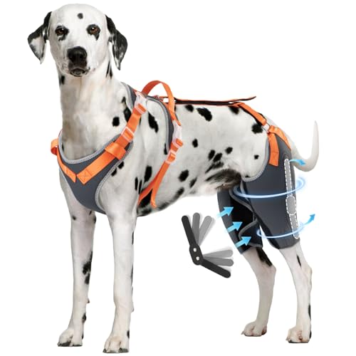 CHAMIN RISURRY Hunde-Kniebandage für Hinterbeine mit Metallschienenscharnier, Unterstützung für Kreuzbandverletzungen, Arthrose, Luxating Patella, Muskelkater usw. (Grau, L) von CHAMIN