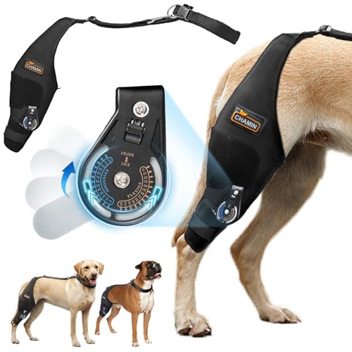 CHAMIN RISURRY Verstellbare Hunde-Kniebandage mit extra Halsband, Unterstützung für gerissene Acl Hinterbeine, Rissbänder, Arthrose, Hinterbeinschlamm, Erholung nach Operationen, etc. (rechtes Bein von CHAMIN