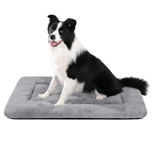 CHAMPETS Hundekäfig-Pad für mittelgroße Hunde, waschbar, weich, flauschig, Hundehütte, Matte, 88,9 cm, rutschfeste Unterseite, für große Hunde, Grau CHAMPETS Hundekäfig-Pad für mittelgroße Hunde, waschbar, weich, flauschig, Hundehütte, Matte, 88,9 cm, rutschfeste Unterseite, für große Hunde, Grau von CHAMPETS