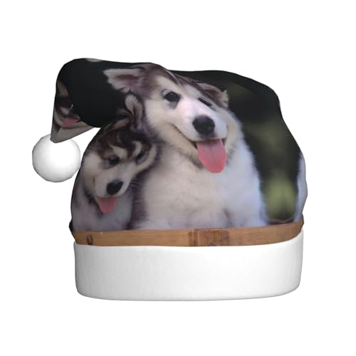 Weihnachtsmütze für Hunde, Erwachsene, bedruckt, bequem, klassisch, Plüsch, Weihnachtsmannmütze für Weihnachten, festliche Party Weihnachtsmütze für Hunde, Erwachsene, bedruckt, bequem, klassisch, Plüsch, Weihnachtsmannmütze für Weihnachten, festliche Party von CHANGLEI