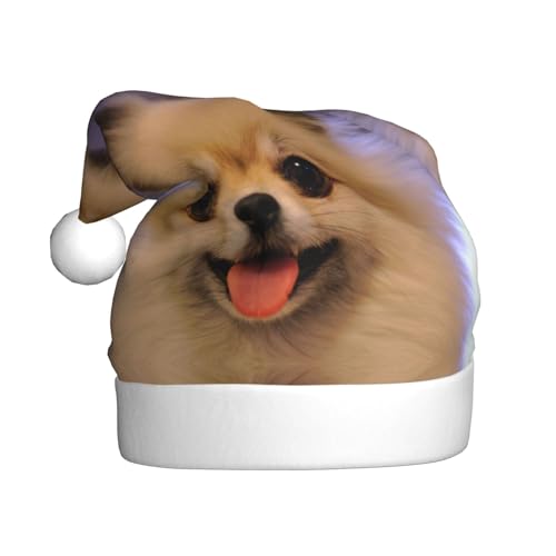 Weihnachtsmütze mit kurzhaarigem Hund, für Erwachsene, bedruckt, bequem, klassisch, Plüsch, Weihnachtsmannmütze für Weihnachten, festliche Party Weihnachtsmütze mit kurzhaarigem Hund, für Erwachsene, bedruckt, bequem, klassisch, Plüsch, Weihnachtsmannmütze für Weihnachten, festliche Party von CHANGLEI