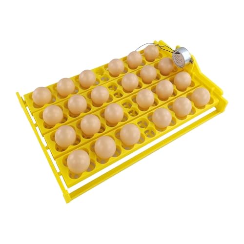 Automatischer Eierwender für Brutkästen – Kapazität für 24 Eier mit universellem 12 V/110 V/220 V Motor, verstellbare Wachtel- und Geflügeleiablage für gleichmäßige Rotation (220 V) von CHANGYING