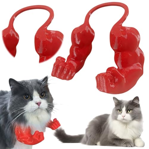 CHANGYUE Lustige Katze mit muskulösen Armen, kreativer 3D-Gedruckter Katzen-Muskelarm, riesiges Haustier-Requisit hängender Arm, Katzen-Muskelarm Halloween Katzenkostüm Zubehör CHANGYUE Lustige Katze mit muskulösen Armen, kreativer 3D-Gedruckter Katzen-Muskelarm, riesiges Haustier-Requisit hängender Arm, Katzen-Muskelarm Halloween Katzenkostüm Zubehör von CHANGYUE