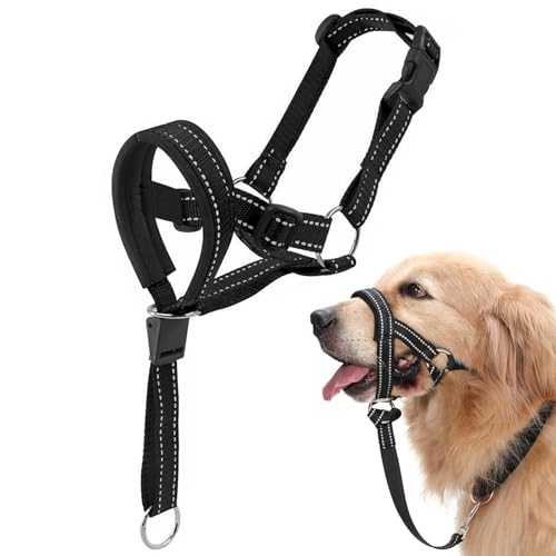 CHAOTEMAI Maulkorb Mittlere Hunde Große Verstellbare Träger Antibellhalsband für Hunde Verschlussschnalle Erziehungshalsband Hund Atmungsaktiv Maulschlaufe Hund für Alltag Training Reisen von CHAOTEMAI