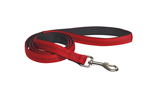 CHAPUIS SELLERIE Hundeleine, gesteppt, Nylon, Rot, Breite 25 mm, Länge 120 cm, Größe L CHAPUIS SELLERIE Hundeleine, gesteppt, Nylon, Rot, Breite 25 mm, Länge 120 cm, Größe L von CHAPUIS SELLERIE